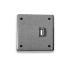 Cover Plate: Double Blank / Switch