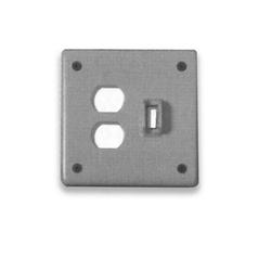 Cover Plate: Double Duplex / Switch